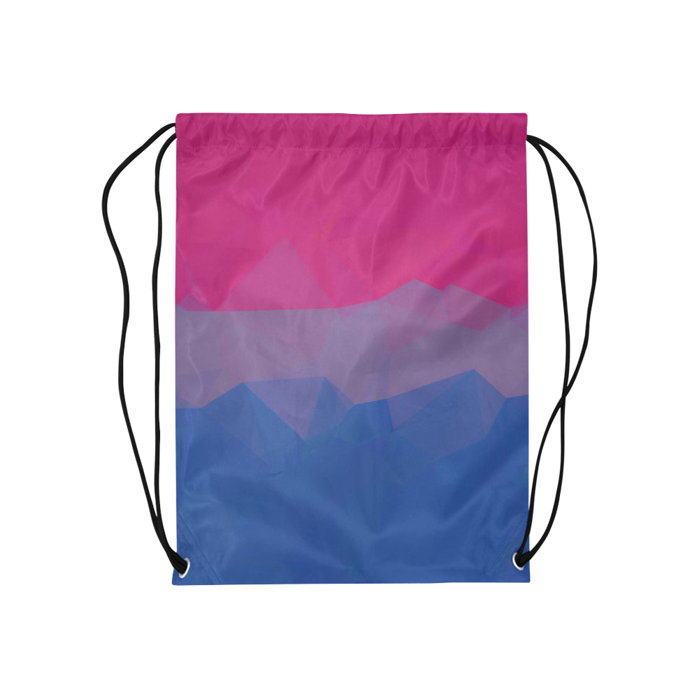 Geometric Bisexual Pride Boxer Briefs